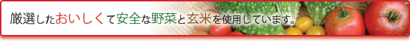 厳選したおいしくて安全な野菜と玄米を使用しています。